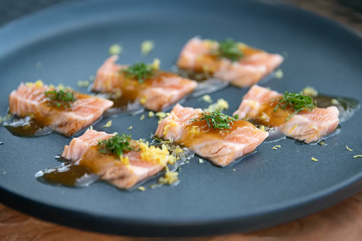 Slices of salmon sashimi on a dark plate, topped with sauce and herbs at Shiki Sushi，a Japanese Restaurant in Santa Rosa