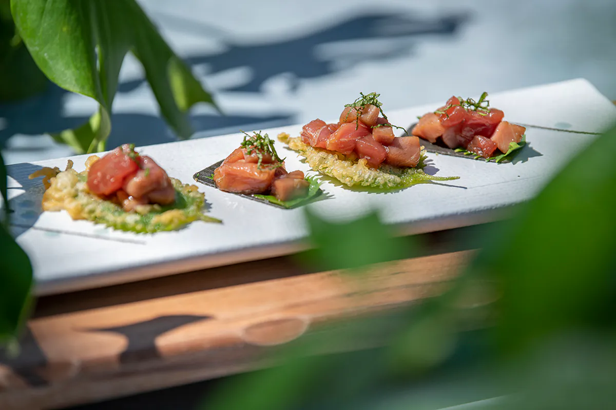 Tuna cubes served on crispy green leaf bases, garnished with herbs at Shiki Sushi，a Japanese Restaurant in Santa Rosa