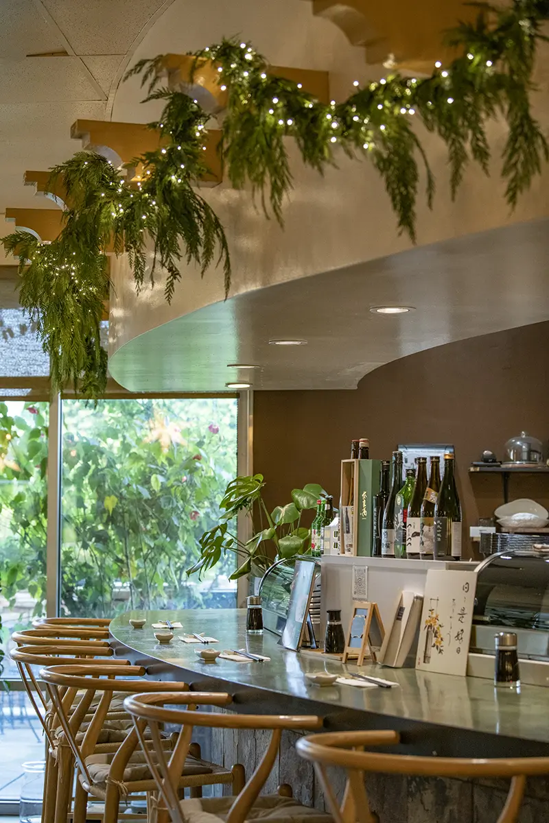 Empty curved sushi bar with wooden chairs and greenery at Shiki Sushi，a Japanese Restaurant in Santa Rosa