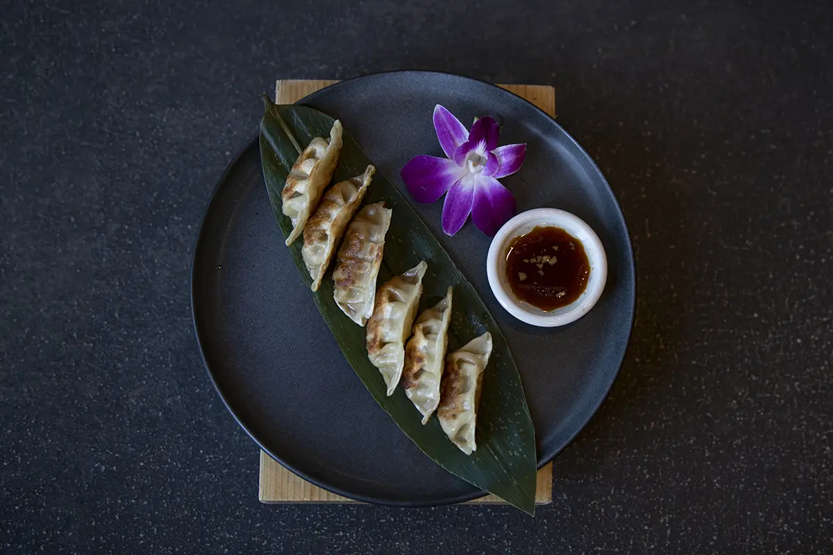 Fried dumplings (gyoza) with dipping sauce on a dark plate at Shiki Sushi，a Japanese Restaurant in Santa Rosa
